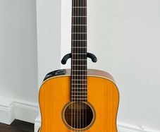 Takamine G Series