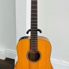Takamine G Series