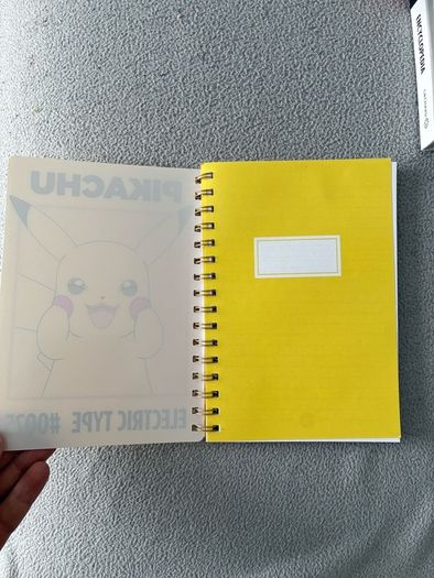 Pokemon books