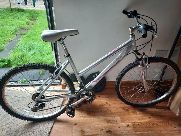 Trek mountain bike
