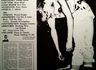 Various  American Youth Report Hardcore Punk