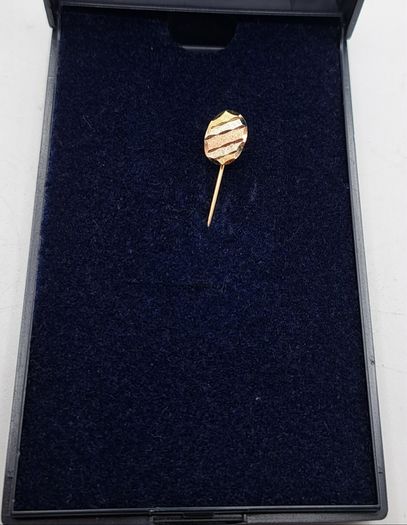 Stick pin gold