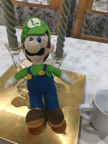 Luigi from Super Mario sort plush toy