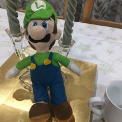 Luigi from Super Mario sort plush toy