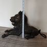 Large sculpture of bronze Lion.Weight: 7.450 kg Image 3