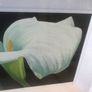 Arum Lily- Nicola Lynch Morrin Image 4