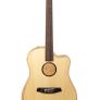 L.R.Baggs AEG 1 E-Acoustic Image 6