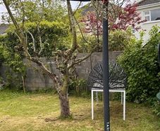 basketball hoop