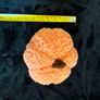 Halloween Decorations. Lights, Wreath, Fabric Decorations, etc Image 4