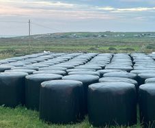 Quality silage. 70 bales. 40 per bale.