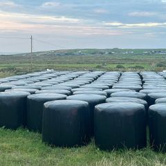 Quality silage. 70 bales. 40 per bale.