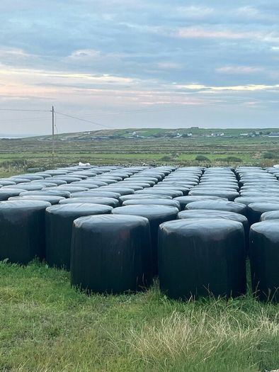 Quality silage. 70 bales. 40 per bale.