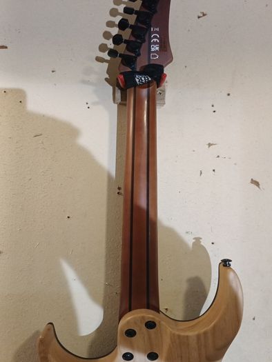 G4m 529 Pro Electric Guitar