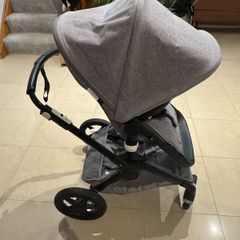 Bogaboo fox