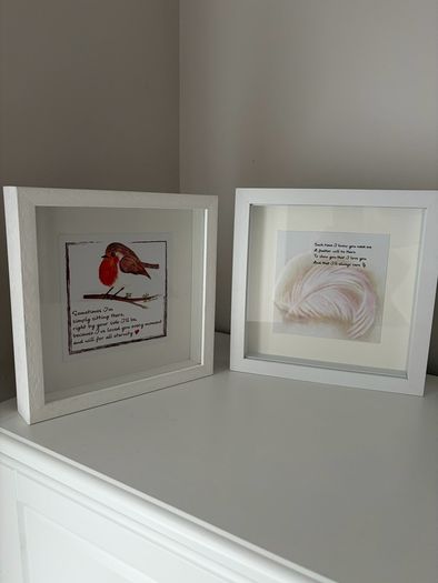 Framed Pictures x 2