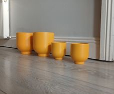 Plant pots