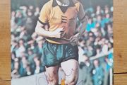 John Richards Wolves Signed Annual Picture