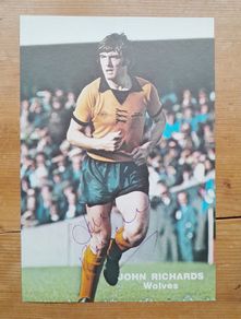 John Richards Wolves Signed Annual Picture