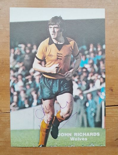 John Richards Wolves Signed Annual Picture
