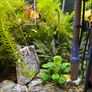 Juwel Rio 180L Fish Tank & Cabinet Full Set, 2 external filters, Co2 Image 8