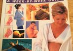 Pregnancy, A week by week guide