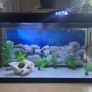 Complete 200L Aquarium Pro-Bundle Image 3