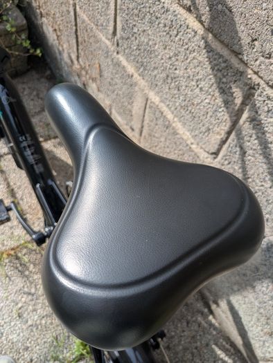 Fiido D3 Pro Electric Bike