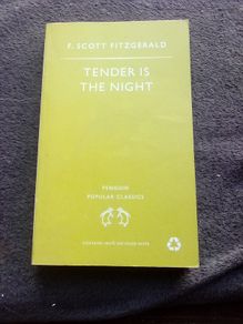 F Scott Fitzgerald book