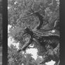 Portable photographic film scanner Image 2