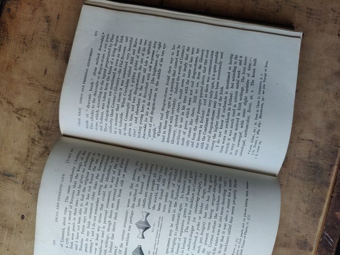 A social History of Ancient Ireland - Two Volumes - First Edition 1903 by PW Joyce