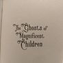 The Ghosts of Magnificent Children by Caroline Busher Image 4