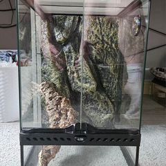 Exo Terra 12x12x18