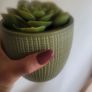 Artificial Plants in Ceramic Pots x3 Image 5