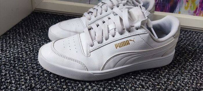 trainers puma