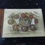 coin set Image 4