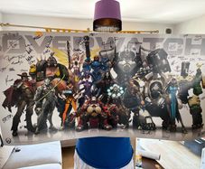 overwatch dev signed poster