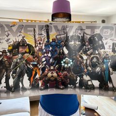 overwatch dev signed poster
