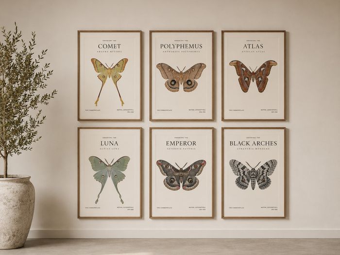 Gallery Style Art Prints (21cm x 30cm)