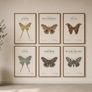 Gallery Style Art Prints (21cm x 30cm) Image 6
