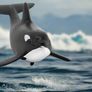 Schleich Baby Orca Animal Figure Image 4