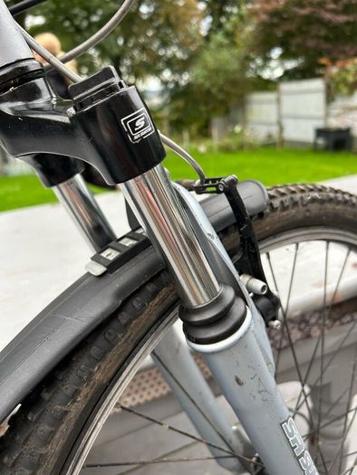 Bike ridgeback
