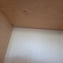 book shelves Image 8