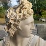 Apollo bust, v v heavy, beautiful piece. D18 Image 10