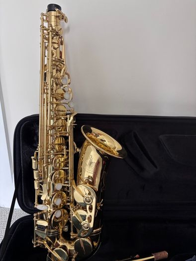 Trevor James Alto Saxophone Bundle