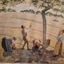 Apple Harvest by Pissarro framed print Image 4
