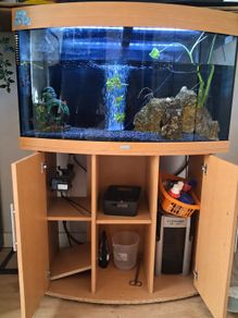 Large Juwel Aquarium Complete Setup