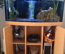 Large Juwel Aquarium Complete Setup