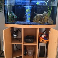 Large Juwel Aquarium Complete Setup