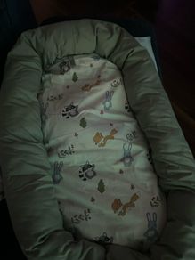 baby sleeping  Purflow baby sleeper and baby padded mattress