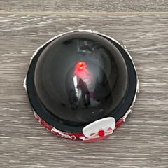 Santa Webcam - Christmas